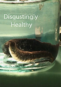 Watch Full Movie - Disgustingly Healthy, Leeches