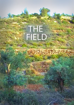 Watch Full Movie - The Field