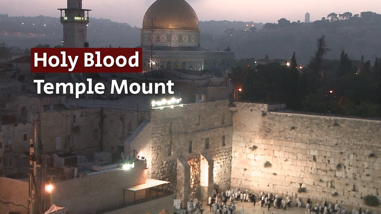 Watch Full Movie Holy Blood: The Temple Mount - Watch Trailer