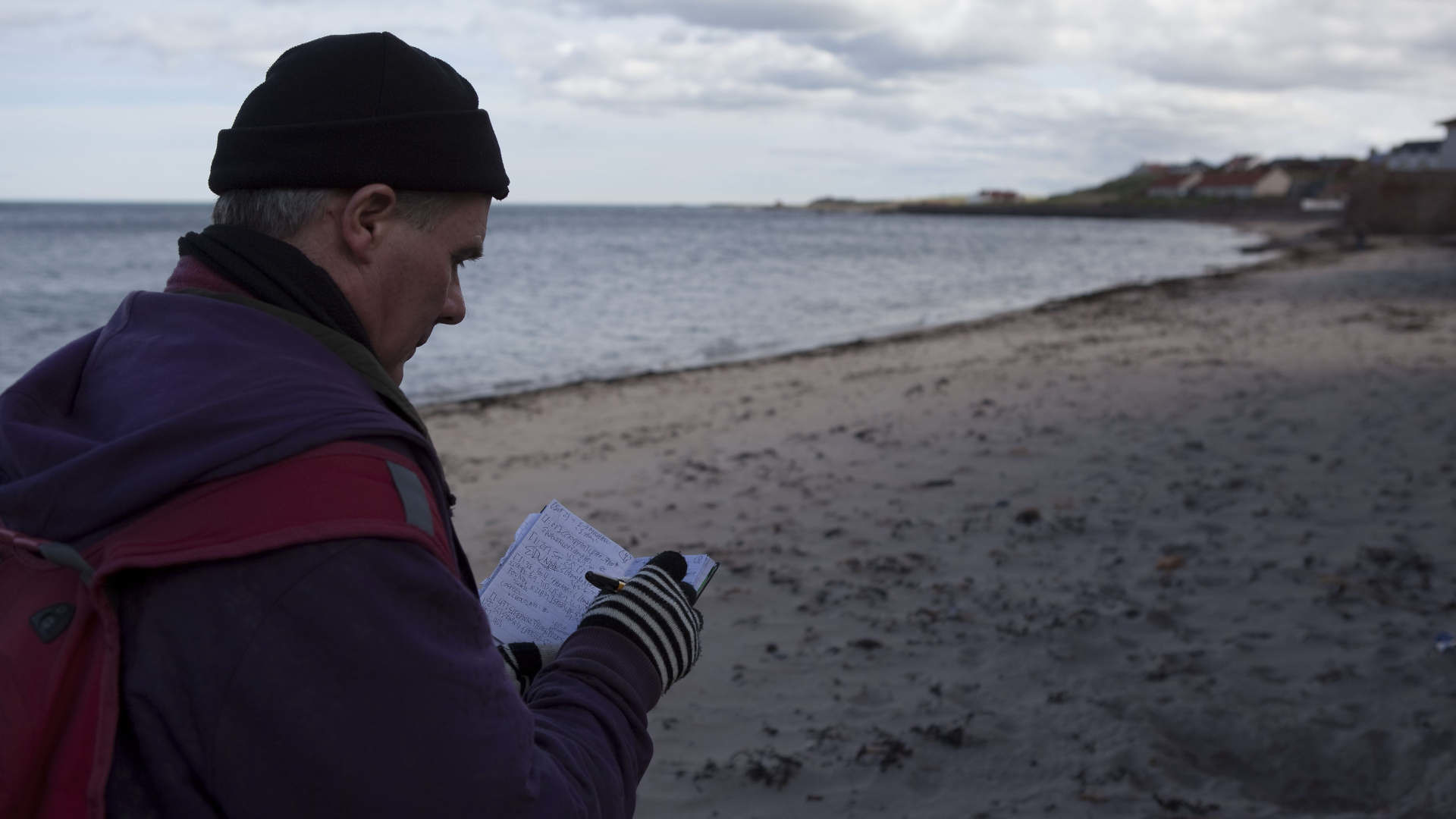 Watch Full Movie - The Winner Loser - Watch Trailer