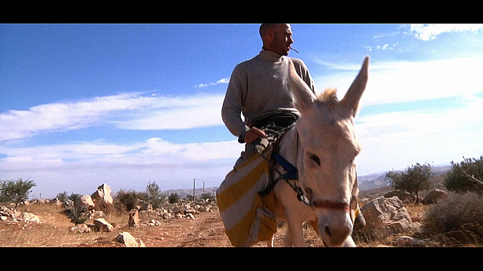 Watch Full Movie Niro and Flika - Watch Trailer