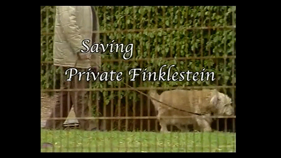 Watch Full Movie Saving Private Finkelstein - Watch Trailer