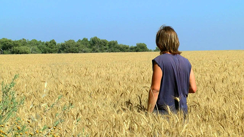 Watch Full Movie Shell - Watch Trailer