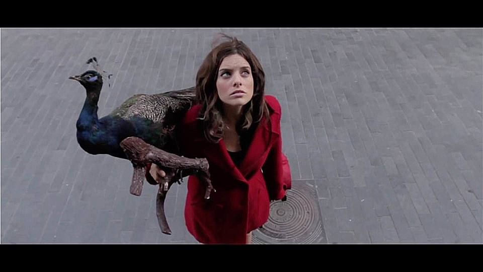 Watch Full Movie Yellow Glasses - Watch Trailer