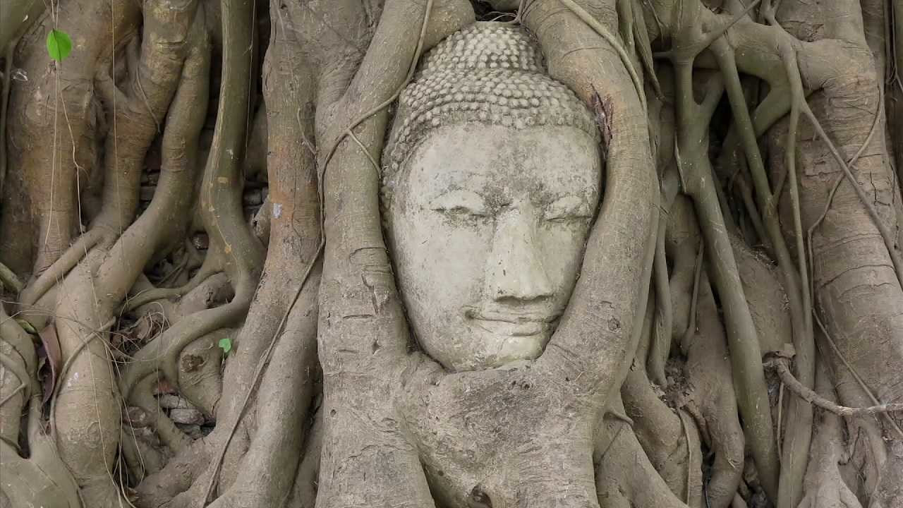 Watch Full Movie - What is Buddhism? - Watch Trailer