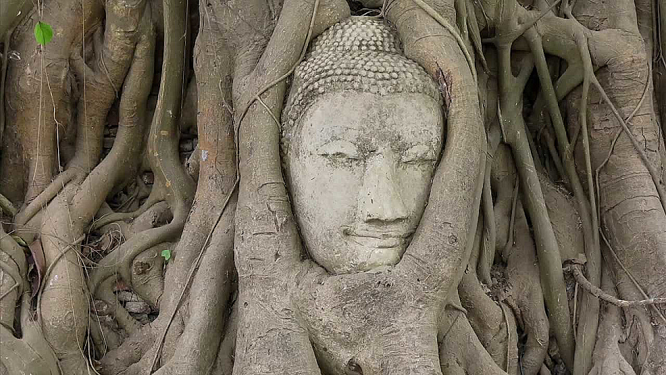 Watch Full Movie What is Buddhism? - Watch Trailer